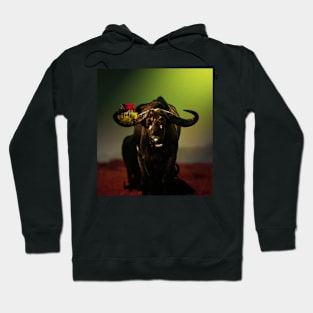 Buffalo with farm house Hoodie